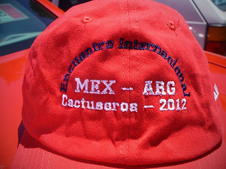 1er Encuentro Internacional de Cactuseros - (MEXICO-ARGENTINA) - Rayman, Kaktus-grys, Raffaello, Many2011 e hija (Pirámide de la Luna, Teotihuacan, México).
