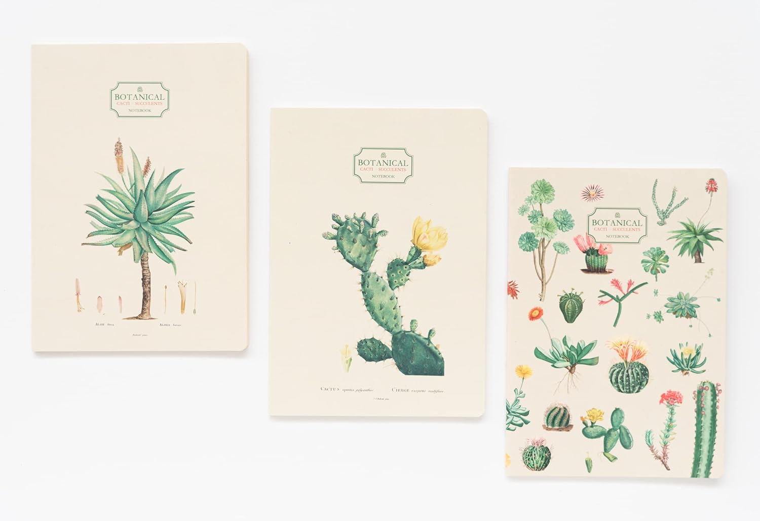 03. Pack de 3 cuadernos A5 de cactus 1 de 2.jpg